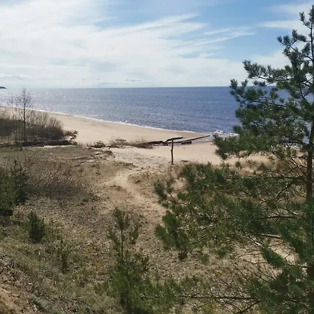 Vieta Piejuras Brivdienam Brivnieku Plavas Vecmuiža